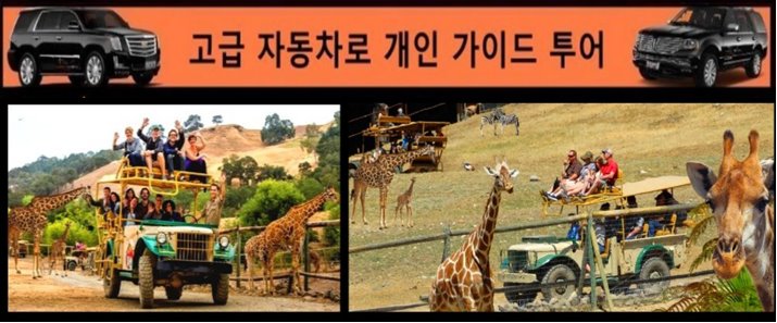 safari korean
